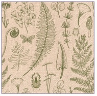 Papírové ubrousky celoroční, třívrstvé 33 x 33 cm, 20 ks