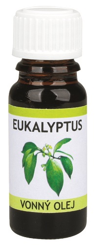 Vonný olej10 ml - Eukalypt (14474)
