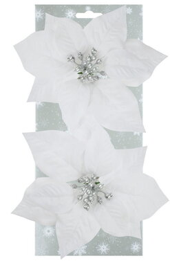 Poinsettie bílá 17 cm, 2 ks na klipu