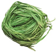 Raffia zelená 30g