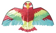 Drak papoušek 137 x 71 cm 