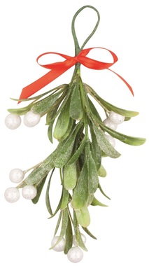 Větvička jmelí 20 cm