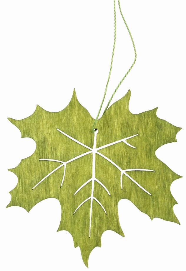List dřevěný  na zavěšení zelený 10 cm (3882)