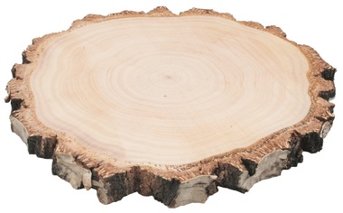 Dřevěný plátek oboustranně vyhlazený bříza 20-22 cm