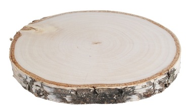 Dřevěný plátek oboustranně vyhlazený, bříza hladká 14-16 cm