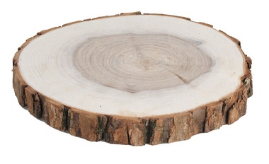 Dřevěný plátek oboustranně vyhlazený, vrba 14-16 cm