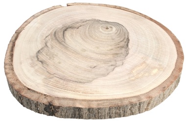 Dřevěný plátek oboustranně vyhlazený, jabloň 18-20 cm