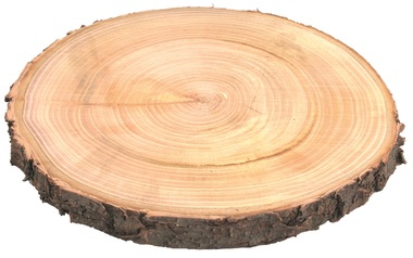 Dřevěný plátek oboustranně vyhlazený, ořech 18-20 cm