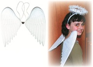 5853 Andělská křídla plastová 36 cm-1