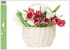 Okenní fólie – Tulipány