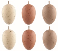 7594 Velikonočn&iacute; vejce plastov&aacute; Kropenat&aacute; tmavě hněd&aacute; 6 cm na zavě&scaron;en&iacute;, 6 ks v s&aacute;čku-1