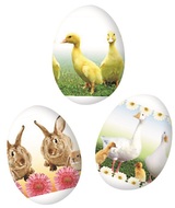 779 Smršťovací dekorace na vejce 12 ks, živá zvířátka-3