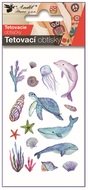 16054 Tetovac&iacute; obtisky Moře 10,5 x 6 cm-1