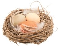 17125 Hnízdo s vajíčky 7 cm-1