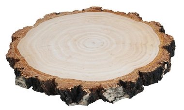 Dřevěný plátek oboustranně vyhlazený, bříza hrubá 16-18 cm